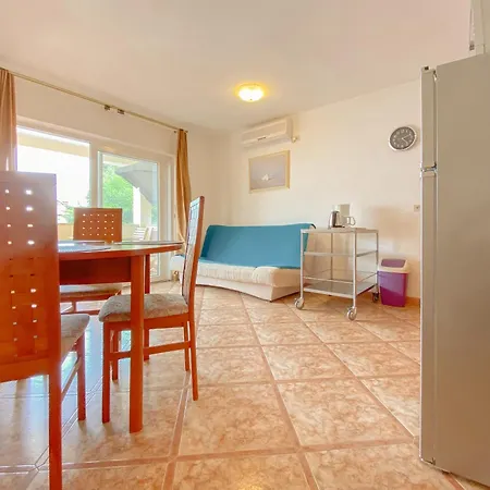 Viviana Damir 4 * Novigrad Istria